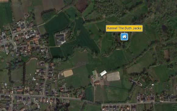 Satteliet Kennel The Dutch Jacks